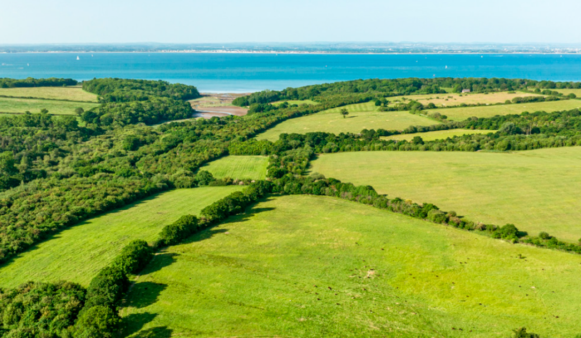 Palmers Brook Nature Reserve